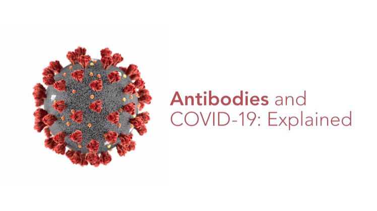 Antibodies & COVID-19 Explained