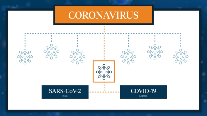 Lab Testing Methods for COVID-19 Explained